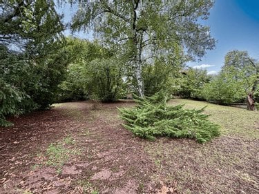 Maison a vendre Chasseneuil-du-Poitou 86360 Vienne 181 m2 7 pièces 395200 euros