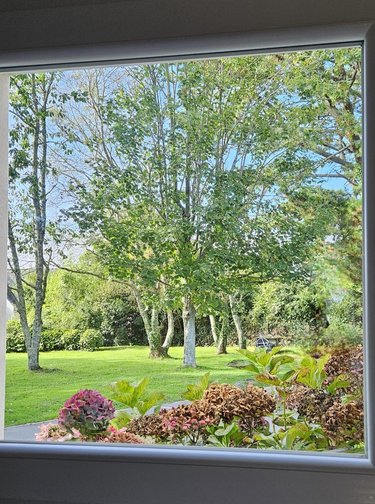 Maison a vendre Fouesnant 29170 Finistère 255 m2 12 pièces 988800 euros