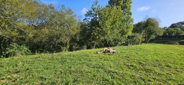 Terrain a batir a vendre Quimper 29000 Finistère 1800 m2  180200 euros