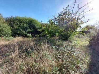 Maison a vendre Coudeville-sur-Mer 50290 Manche 50 m2 3 pièces 156000 euros