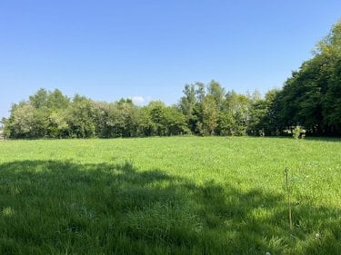 Terrain a batir a vendre Taupont 56800 Morbihan 2380 m2  112100 euros