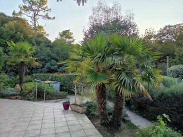 Maison a vendre Saint-Jean-de-Monts 85160 Vendée 123 m2 5 pièces 295500 euros