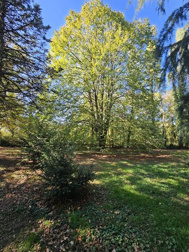 Maison a vendre Bressuire 79300 Deux-Sèvres 250 m2 8 pièces 514500 euros