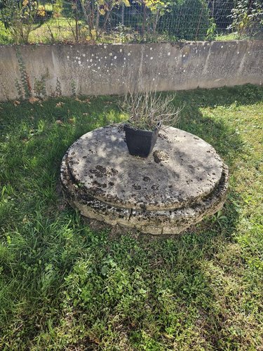 Maison a vendre Bressuire 79300 Deux-Sèvres 78 m2 4 pièces 135150 euros