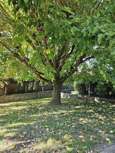 Maison a vendre Bressuire 79300 Deux-Sèvres 78 m2 4 pièces 135150 euros