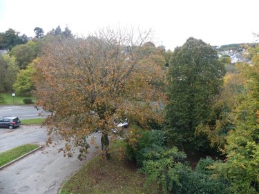 Location appartement Redon 35600 Ille-et-Vilaine 66 m2 3 pièces 700 euros