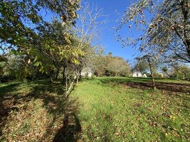 Maison a vendre Languidic 56440 Morbihan 82 m2 4 pièces 213820 euros
