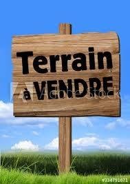 Terrain a batir a vendre Saint-Nicolas-de-Redon 44460 Loire-Atlantique 1044 m2  58750 euros