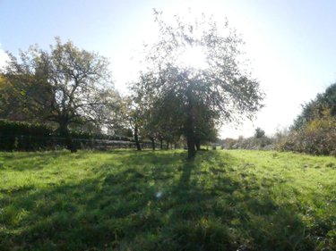 Terrain a batir a vendre Saint-Perreux 56350 Morbihan 1280 m2  38750 euros