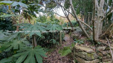 Maison a vendre Perros-Guirec 22700 Côtes-d'Armor 160 m2 5 pièces 625200 euros