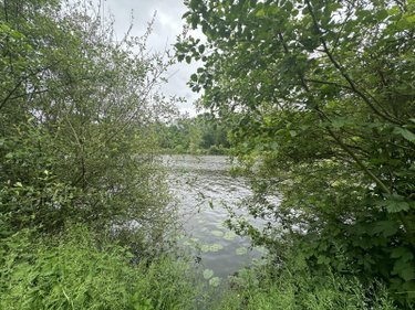 Bien agricole a vendre La Roche-Neuville 53200 Mayenne  29500 euros