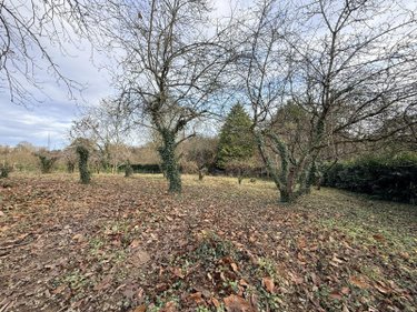 Bien agricole a vendre La Roche-Neuville 53200 Mayenne  22400 euros