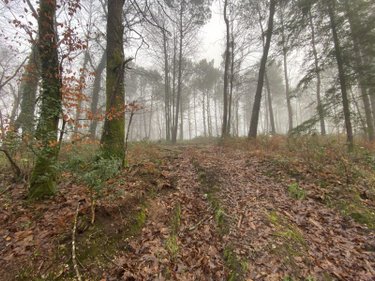 Bien agricole a vendre Inzinzac-Lochrist 56650 Morbihan  12000 euros