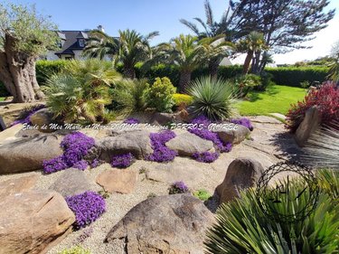 Maison a vendre Louannec 22700 Côtes-d'Armor 140 m2 5 pièces 630496 euros