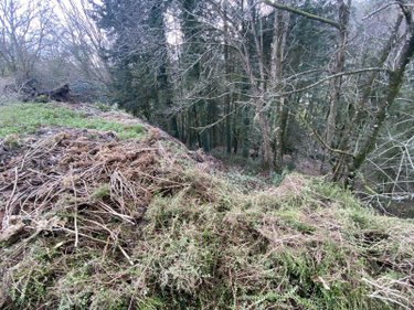 Bien agricole a vendre Quistinic 56310 Morbihan  3000 euros