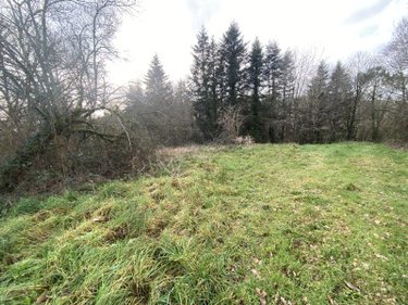 Bien agricole a vendre Quistinic 56310 Morbihan  3000 euros