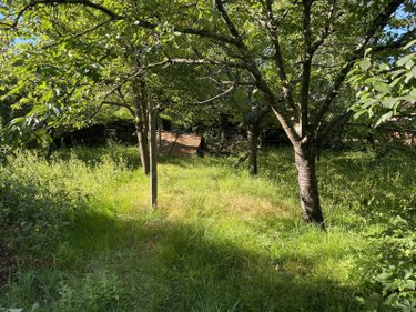 Maison a vendre Cusset 03300 Allier 101 m2 3 pièces 106900 euros