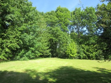 Terrain a batir a vendre Carhaix-Plouguer 29270 Finistère 1651 m2  42500 euros