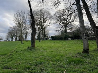 Maison a vendre Taupont 56800 Morbihan 100 m2 6 pièces 109800 euros