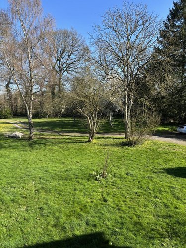 Location appartement Vern-sur-Seiche 35770 Ille-et-Vilaine 32 m2 2 pièces 498 euros