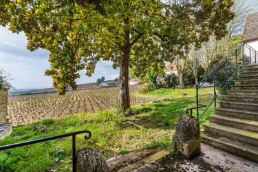 Maison a vendre Volnay 21190 Côte-d'Or 215 m2 11 pièces 2000000 euros
