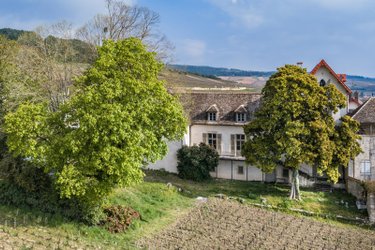 Maison a vendre Volnay 21190 Côte-d'Or 215 m2 11 pièces 2000000 euros