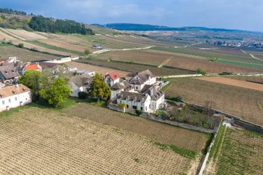 Maison a vendre Volnay 21190 Côte-d'Or 215 m2 11 pièces 2000000 euros