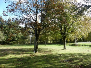 Maison a vendre Peillac 56220 Morbihan 98 m2 4 pièces 145610 euros