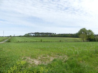 Maison a vendre Langon 35660 Ille-et-Vilaine 87 m2 3 pièces 141170 euros