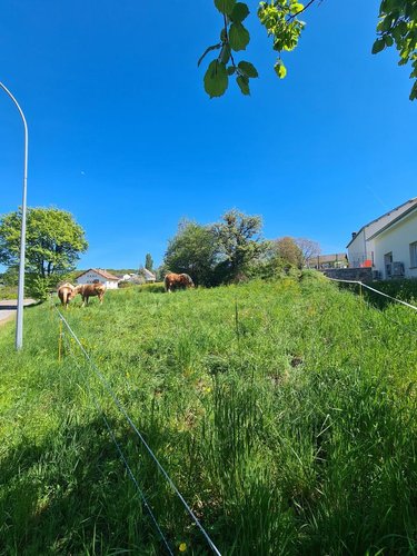 Terrain a batir a vendre Tarcenay-Foucherans 25620 Doubs 887 m2  79385 euros