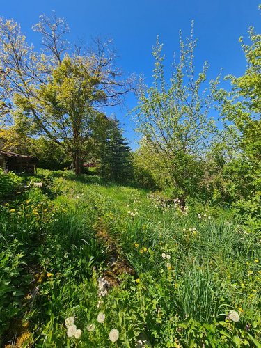 Maison a vendre Bolandoz 25330 Doubs 165 m2 7 pièces 172100 euros