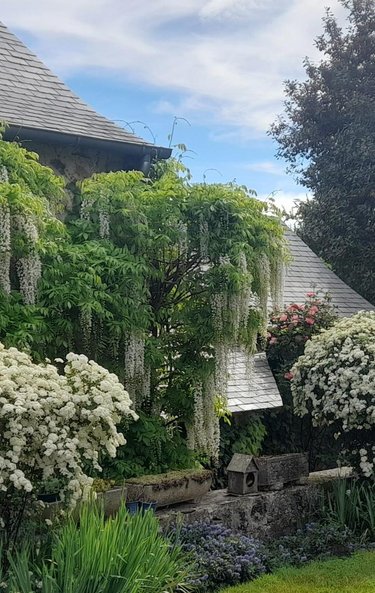 Maison a vendre Bouère 53290 Mayenne 202 m2 9 pièces 453200 euros