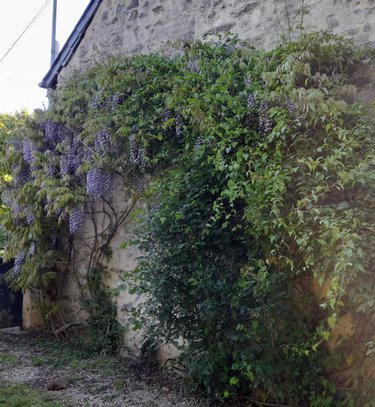 Maison a vendre Bouère 53290 Mayenne 202 m2 9 pièces 453200 euros