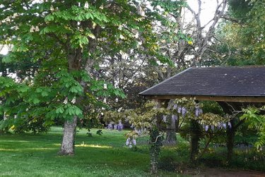 Maison a vendre Bouère 53290 Mayenne 202 m2 9 pièces 453200 euros