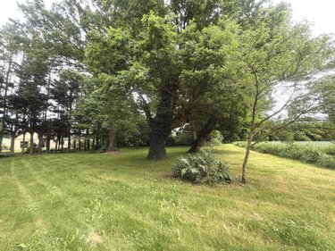 Maison a vendre Guipry-Messac 35480 Ille-et-Vilaine 124 m2 6 pièces 326025 euros