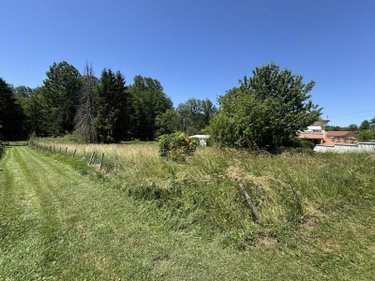 Terrain a batir a vendre Pleure 39120 Jura 1545 m2  25000 euros