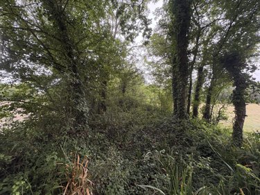 Bien agricole a vendre Agon-Coutainville 50230 Manche  5400 euros