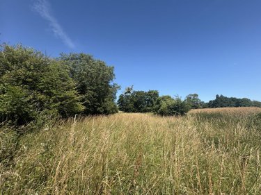 Bien agricole a vendre Bréhal 50290 Manche  2160 euros