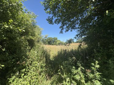 Bien agricole a vendre Bréhal 50290 Manche  2160 euros