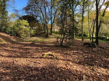 Terrain a batir a vendre Béruges 86190 Vienne 2158 m2  80000 euros