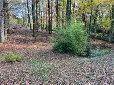Terrain a batir a vendre Béruges 86190 Vienne 2158 m2  80000 euros