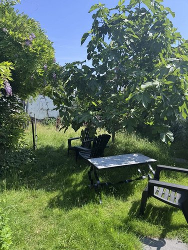 Maison a vendre Lille 59000 Nord 240 m2 9 pièces 585000 euros