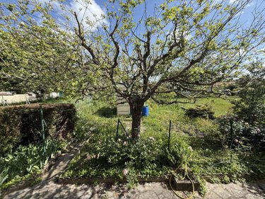 Maison a vendre Cusset 03300 Allier 125 m2 5 pièces 143300 euros