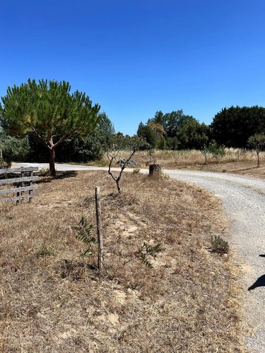 Terrain a batir a vendre La Barre-de-Monts 85550 Vendée 650 m2  150290 euros