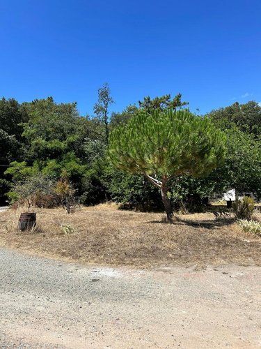 Terrain a batir a vendre La Barre-de-Monts 85550 Vendée 650 m2  150290 euros