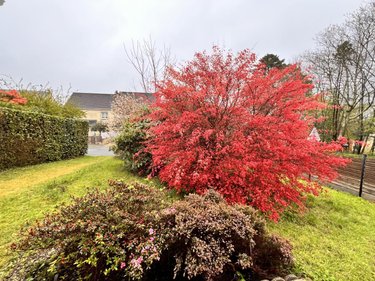 Maison a vendre Brest 29200 Finistère 97 m2 5 pièces 239200 euros