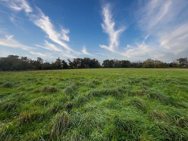 Terrain a batir a vendre Fouesnant 29170 Finistère 1163 m2  319000 euros