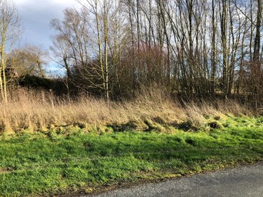 Terrain a batir a vendre Sauchy-Cauchy 62860 Pas-de-Calais 1565 m2  58200 euros