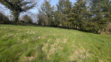 Terrain a batir a vendre Sainte-Cécile 50800 Manche 2000 m2  26800 euros