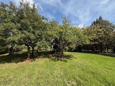 Maison a vendre Saint-Léger-de-Linières 49170 Maine-et-Loire 143 m2 7 pièces 241040 euros
